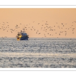 Le retour des pêcheurs au port du Hourdel