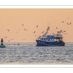 Le retour des pêcheurs au port du Hourdel