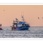 Le retour des pêcheurs au port du Hourdel