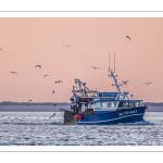 Le retour des pêcheurs au port du Hourdel