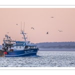 Le retour des pêcheurs au port du Hourdel