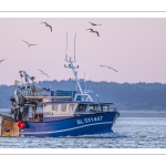 Le retour des pêcheurs au port du Hourdel