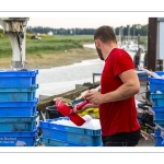 Le retour des pêcheurs au port du Hourdel