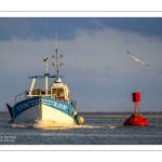 Le retour des pêcheurs de crevettes grises