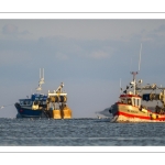 Le retour des pêcheurs de crevettes grises