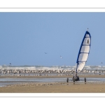 Les chars-à-voile sur la plage