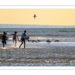 Fin de journée à Quend-Plage