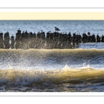 Fin de journée à Quend-Plage