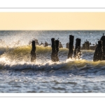 Fin de journée à Quend-Plage