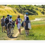 Promenade avec les ânes et une guide nature dans les mollières du CapHornu