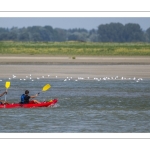 Pirogues indonésiennes et Canoë-Kayak dans le chenal de la Somme