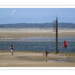 Marée basse au Cap hornu et vue sur sur le Crotoy