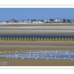 Marée basse au Cap hornu et vue sur sur le Crotoy