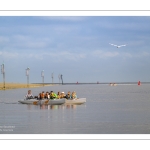 Pirogue indonnésienne (va'a) en baie de Somme