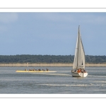 Les voiliers dans le chenal de la Somme