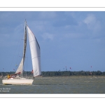 Plaisance en baie de Somme