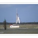 Plaisance en baie de Somme