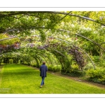 les Jardins de Séricourt