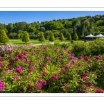 Les jardins de Valloires