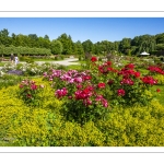 Les jardins de Valloires